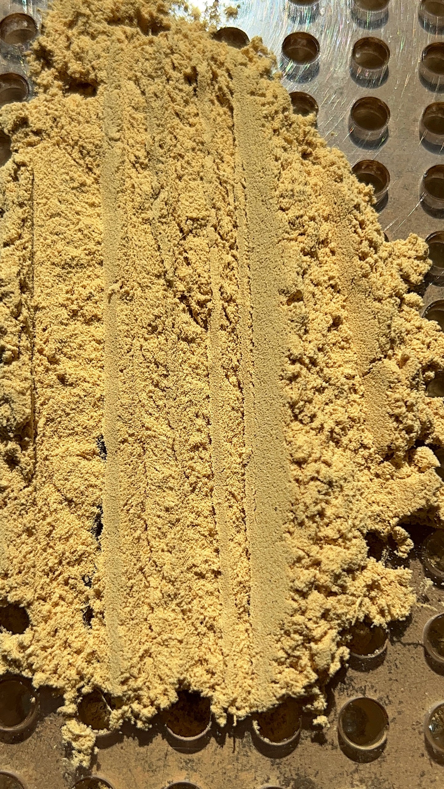 GINGER ROOT