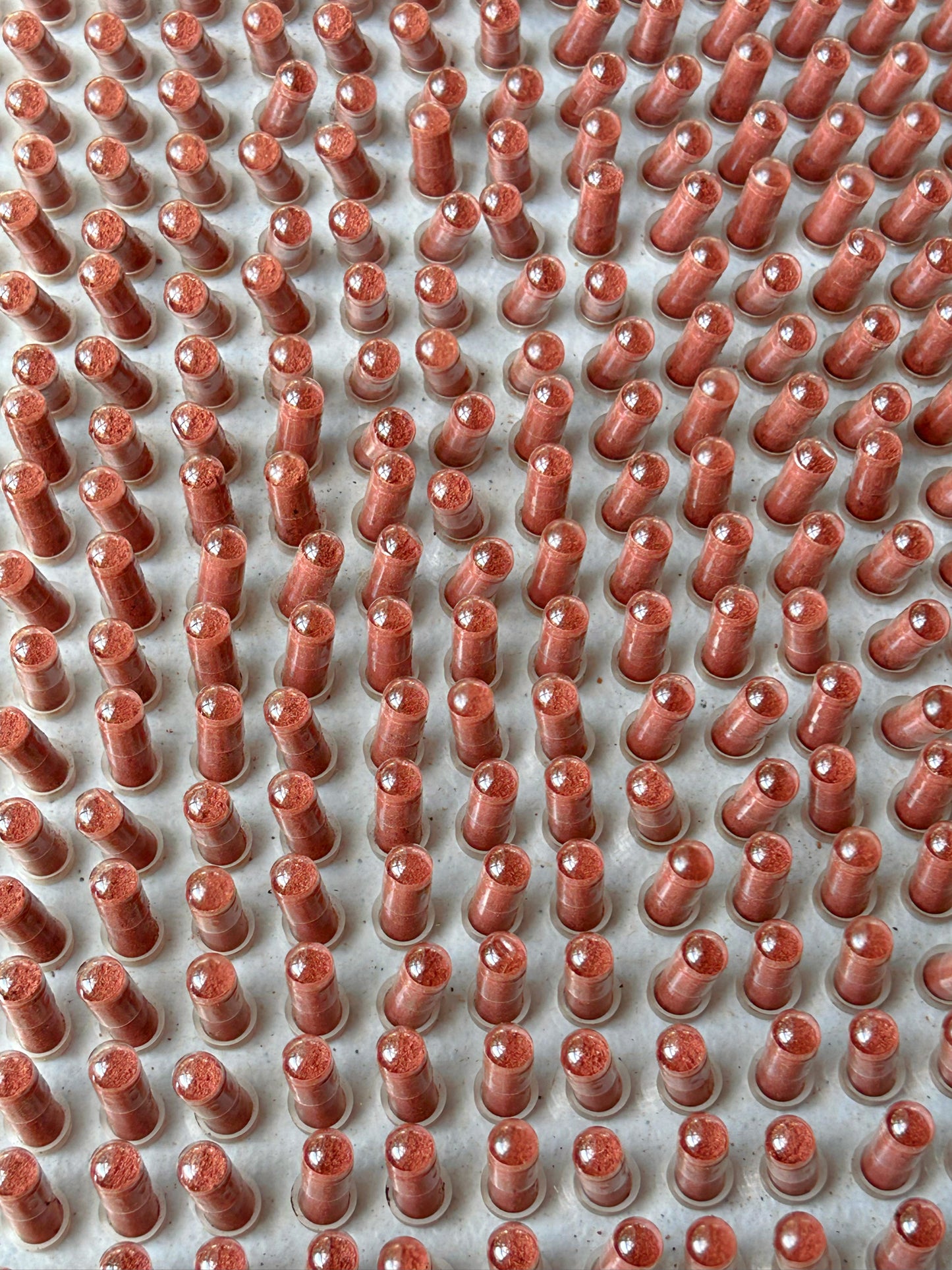 ALIGNED WOMBMAN