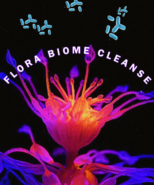 FLORA “BIOFILM” CLEANSE